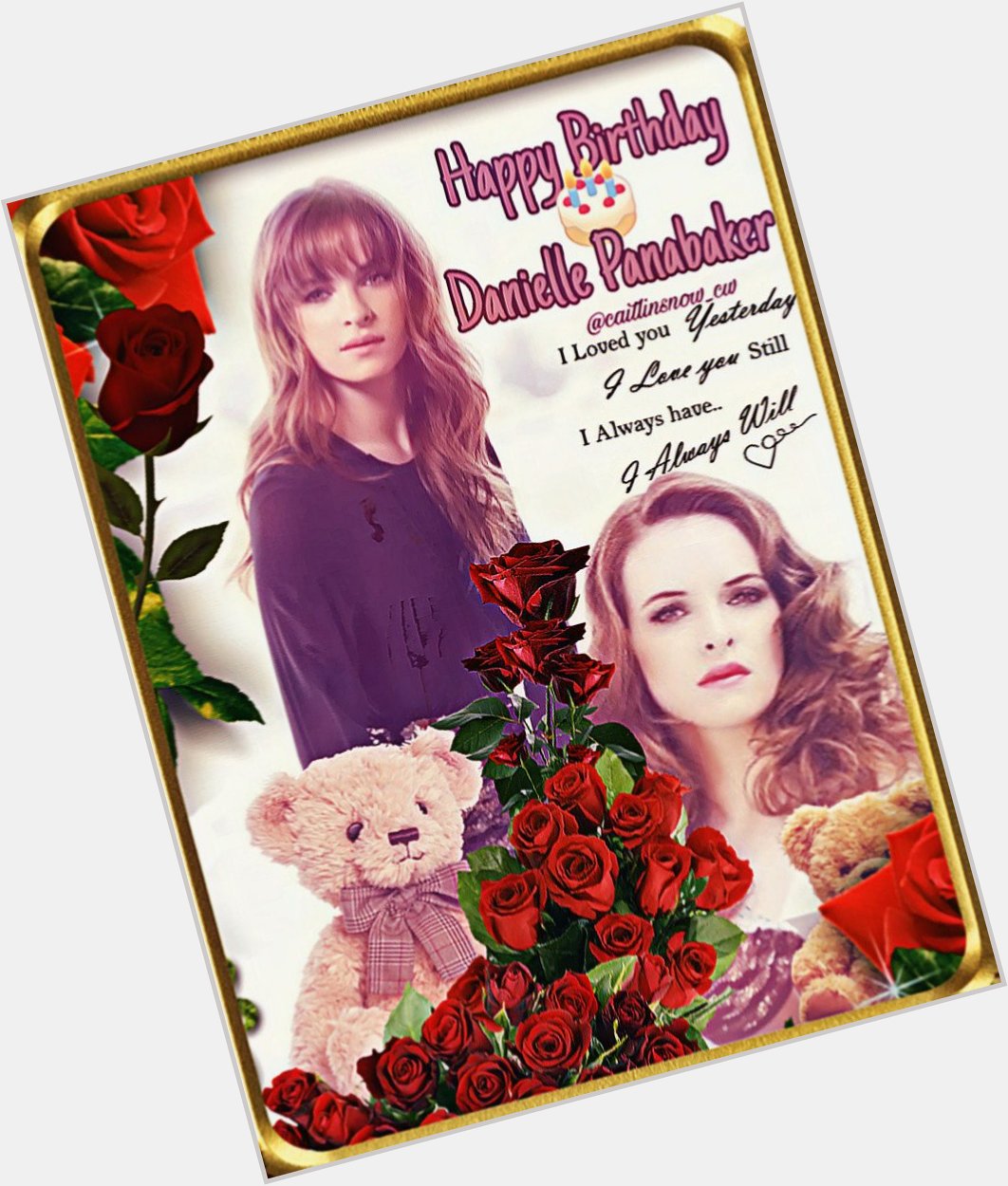 Happy Birthday Danielle Panabaker!      