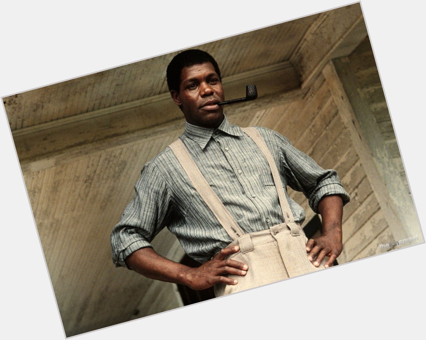 Happy birthday to THE COLOR PURPLE actor Danny Glover. Many happy returns, sir (or Mister, rather. ;)) 