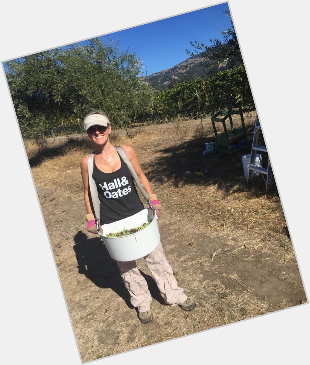 Happy birthday to Daryl Hall! Picking Alexander Valley olives in your honor.  