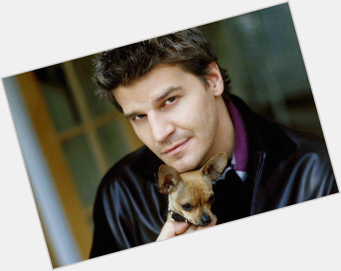 Happy Birthday, David Boreanaz! Remember That Time You Hijacked an Interview?  