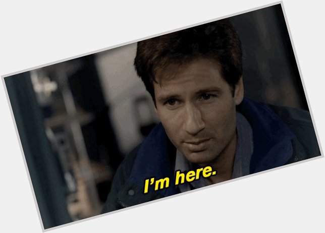 Happy Birthday David Duchovny, why don t you love me 