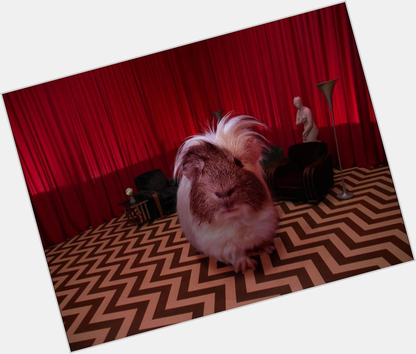 A belated Happy Birthday to David Lynch!

( featuring our beloved Furrito, Ingmar Superstar ) 