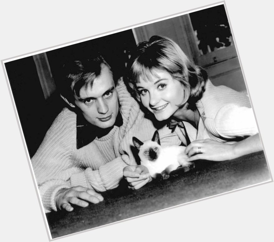 Happy birthday to actor David McCallum (Man from UNCLE) (Pictured w/Jill Ireland) 