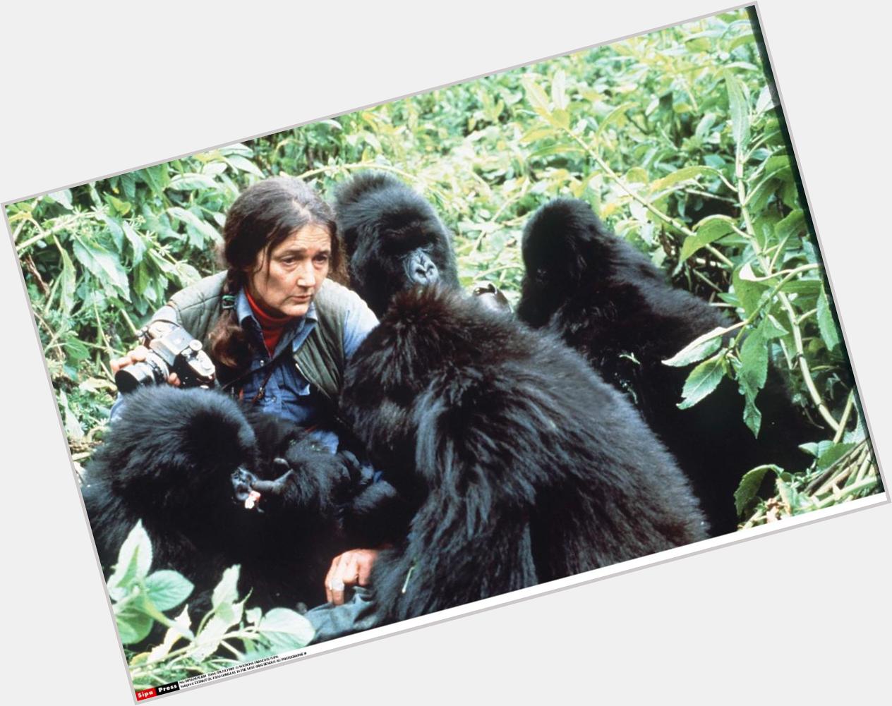 Happy Birthday to today\s über-cool celeb w/an über-cool camera: American zoologist & gorilla researcher DIAN FOSSEY 