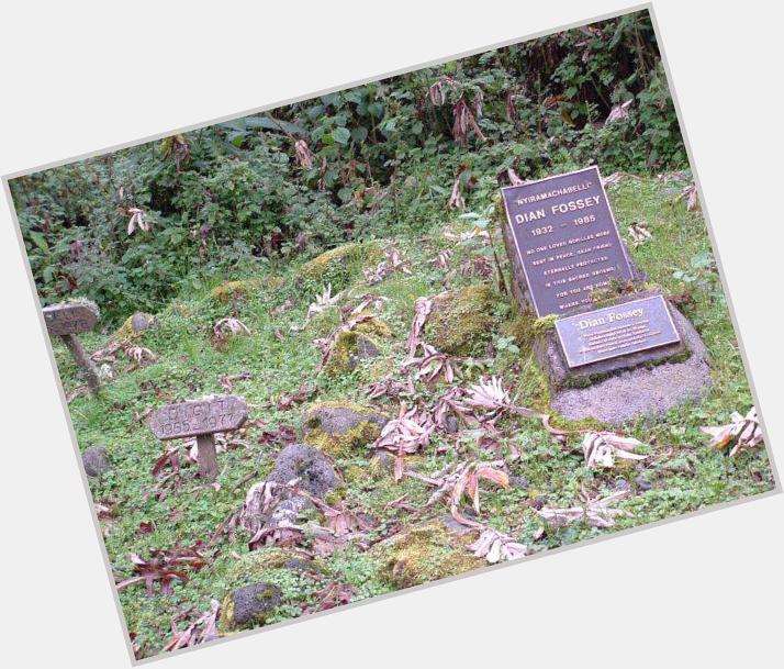 Happy Birthday Dian Fossey (R.I.P.) - was lucky enuf to visit Karisoke a few years ago. 