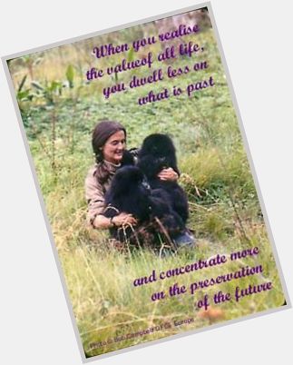 HAPPY BIRTHDAY 

Dian Fossey 1/16/1932 - 12/26/1985 