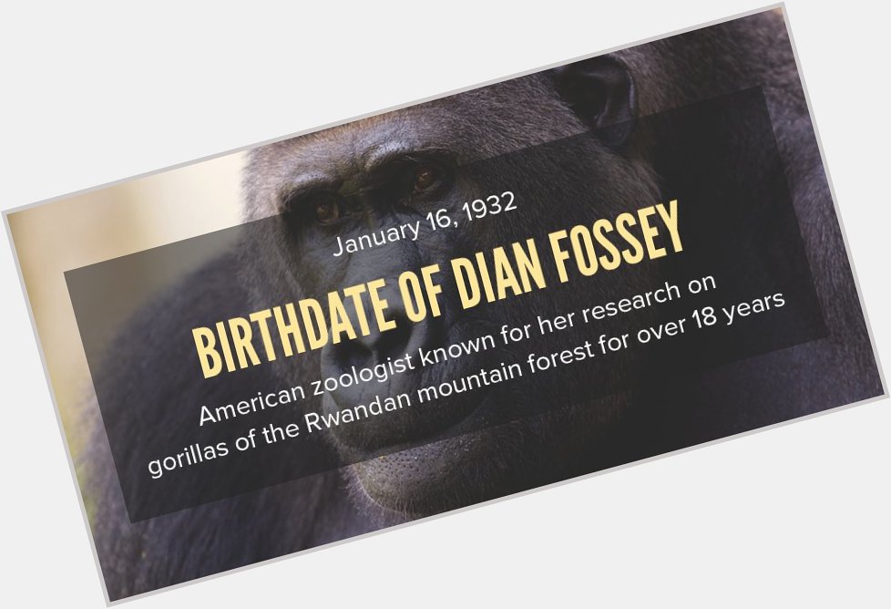 Thermosci \"Happy Birthday Dian Fossey!  