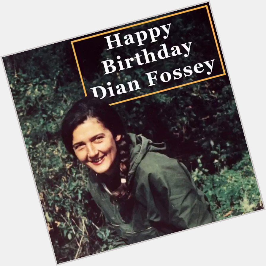 Happy Birthday, Dian Fossey. Your legacy lives on! 