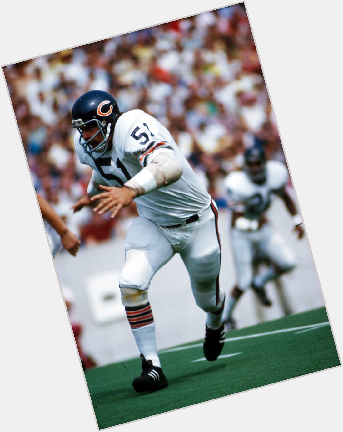 \"There\s only one thing I ever wanted to do. Play pro football.\" Happy Birthday, Dick Butkus! 