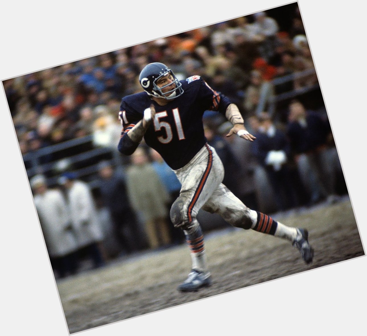 Happy 76th bday to Hall of Famer Dick Butkus! Dude was a beast! 