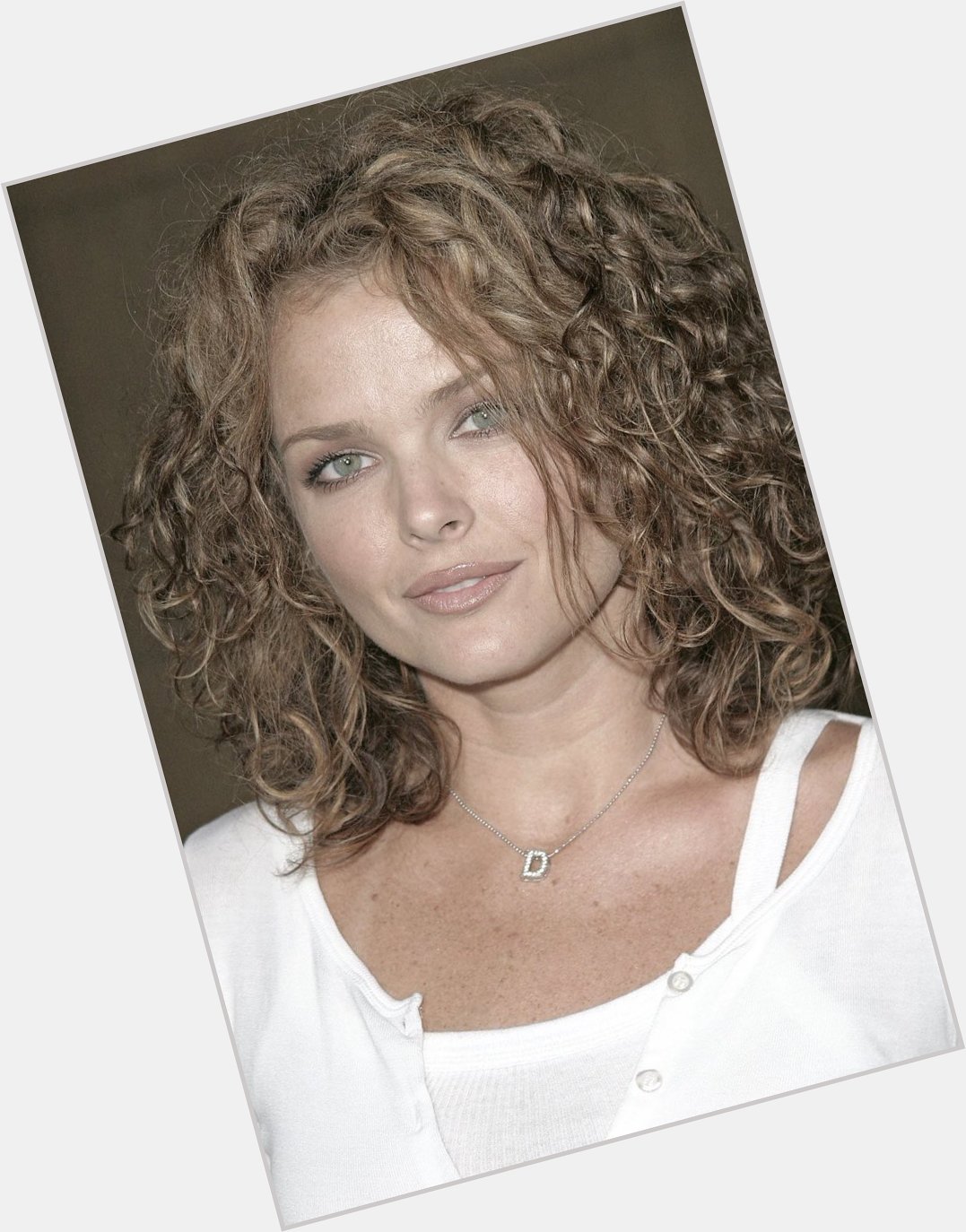    We wish a very happy birthday to the talented and gorgeous Dina Meyer! ¡Feliz cumpleaños 