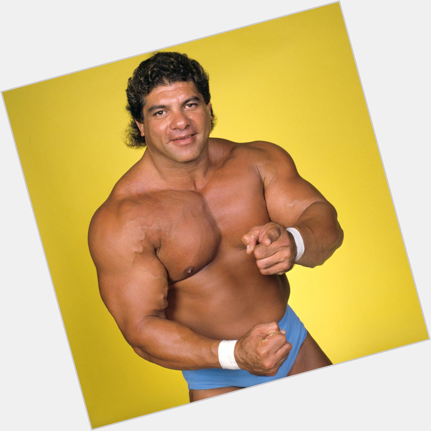 Happy Birthday to WWE Hall of Famer \"The Rock\" Don Muraco who turns 70 today! 