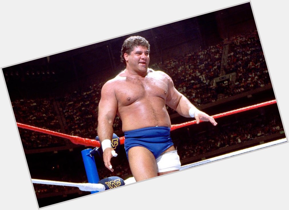 Happy Birthday Don Muraco who is 73 today!  