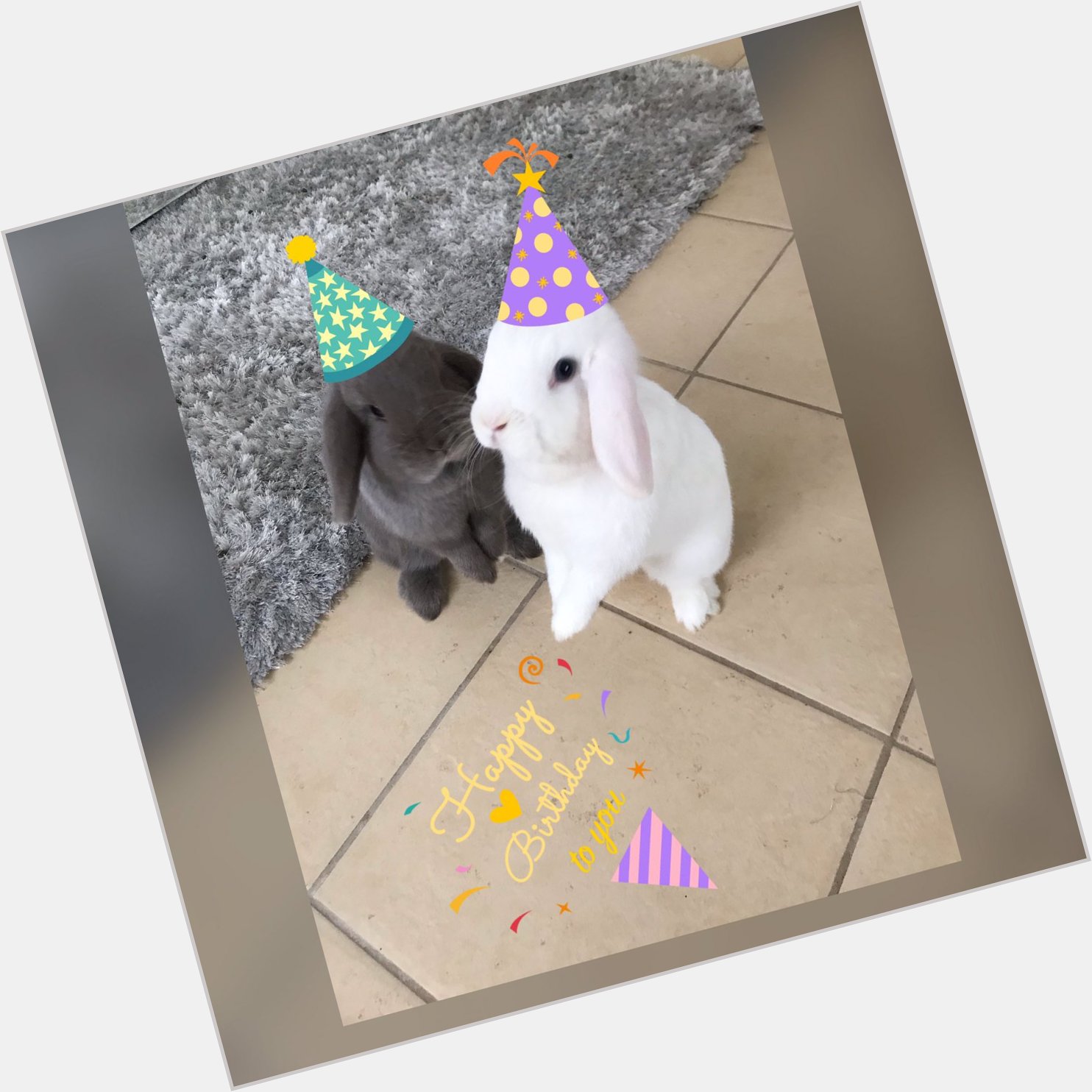  Happy Birthday from Bluebell and Primrose 