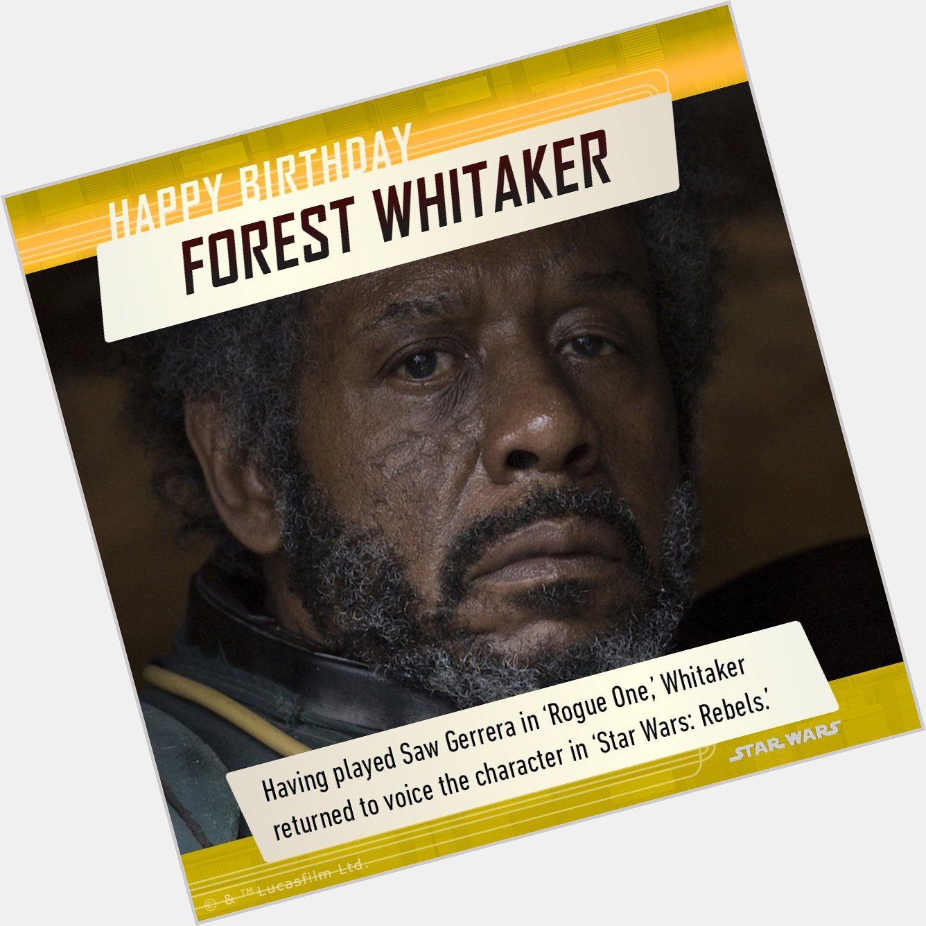 Happy Birthday Forest Whitaker!  