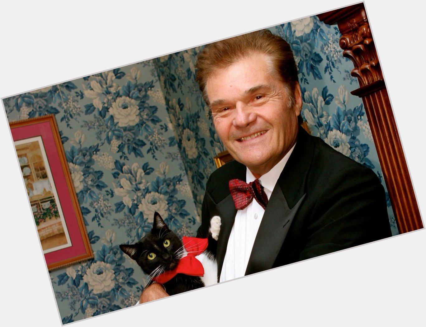 Happy Birthday to Fred Willard who turns 78 today! 