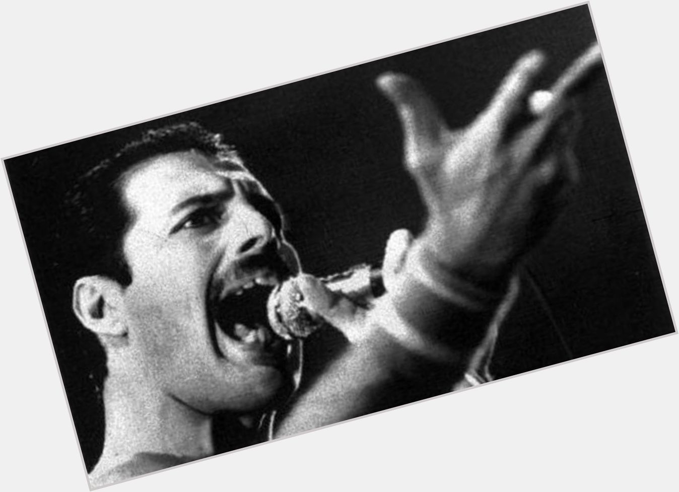 Forever in our hearts  Happy birthday.Freddie Mercury 