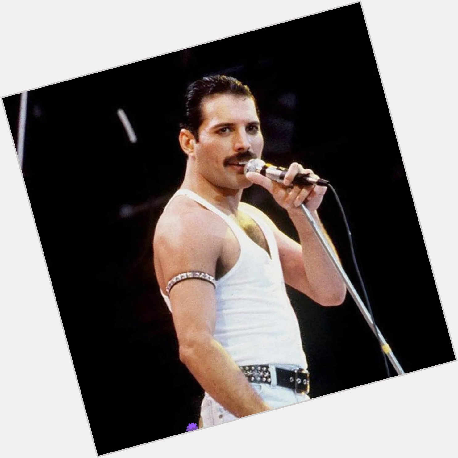  Happy Birthday Freddie Mercury 