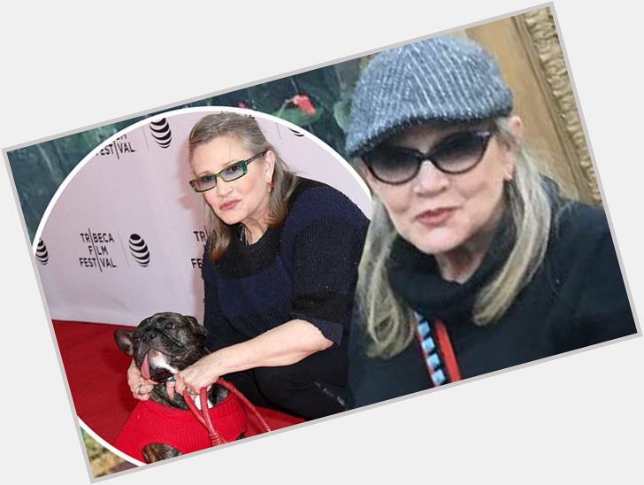 Carrie Fisher\s beloved dog Gary Fisher wishes his late mother a \happy heavenly birthday\  