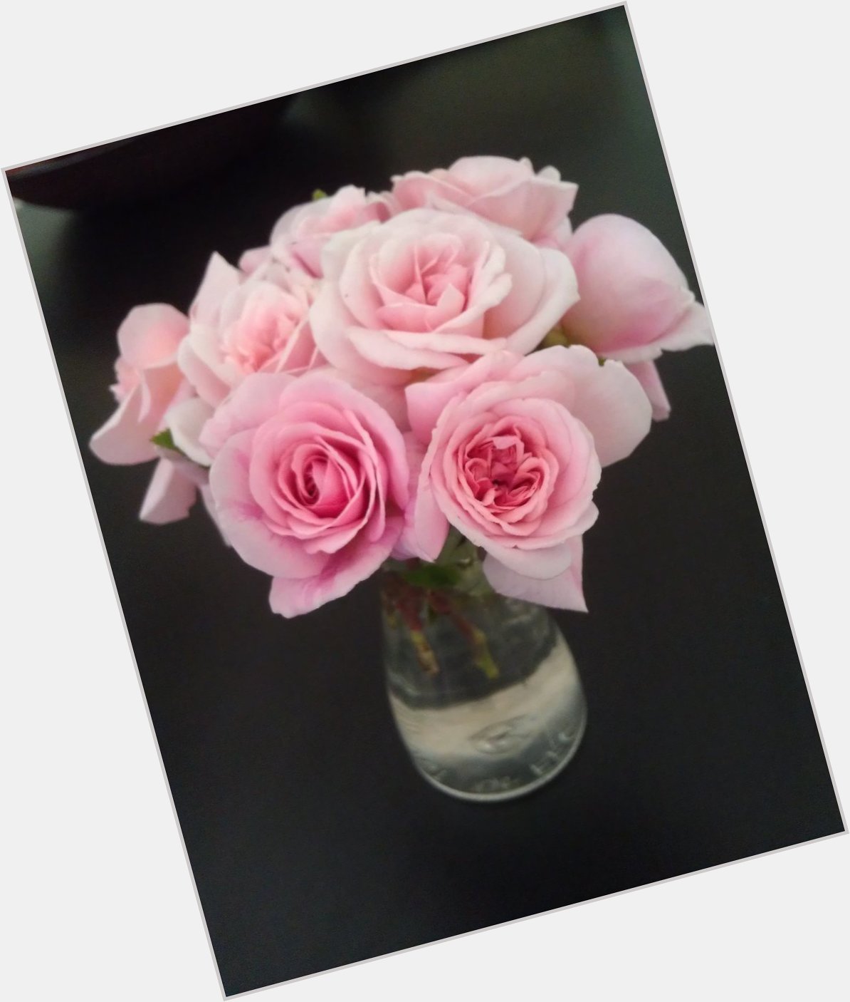  happy birthday wonderful Gates!  God bless you!  Mini roses for you! 