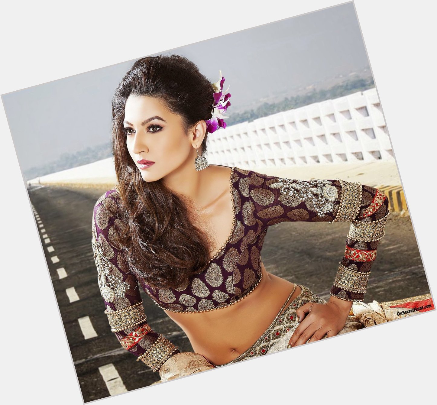 Happy Birthday to Gauahar Khan     About:  