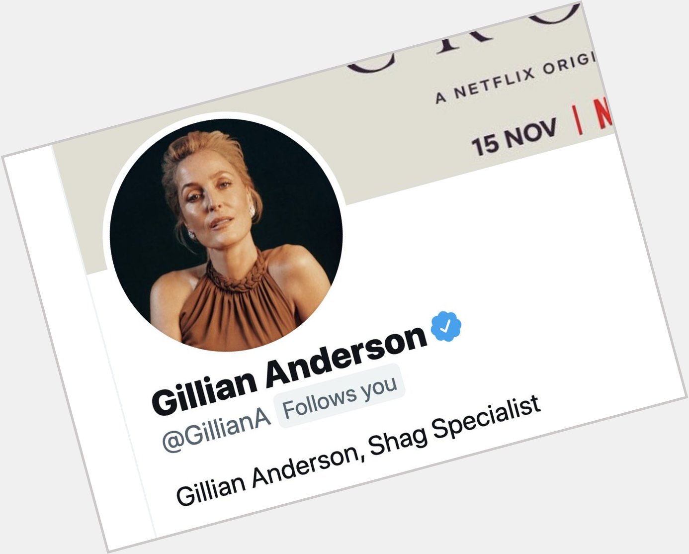 Happy birthday to the one and only Gillian Anderson, Shag Specialist. 