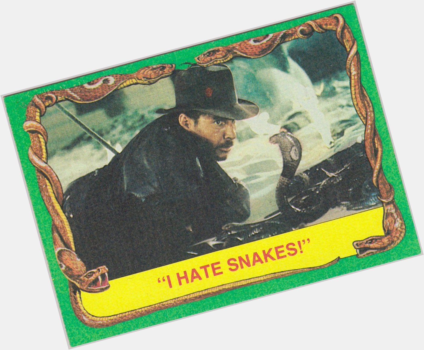 Happy 75th Birthday Harrison Ford! I actually like snakes! I think they\re fantastic creatures. 