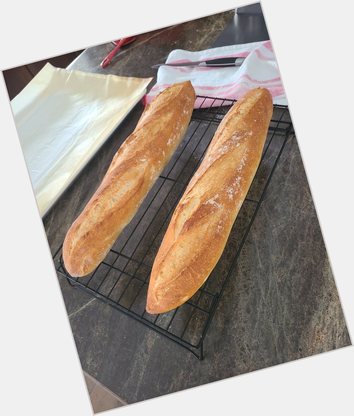 Happy birthday, Harry Kane. I made you baguettes. I will eat them for you as well. 