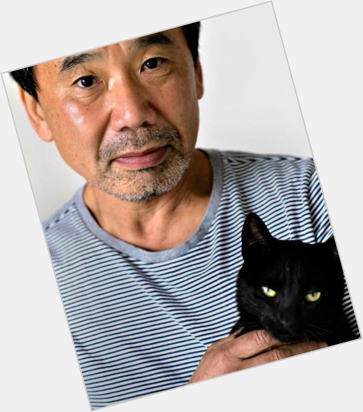 Happy Birthday to big cat fan Haruki Murakami! 