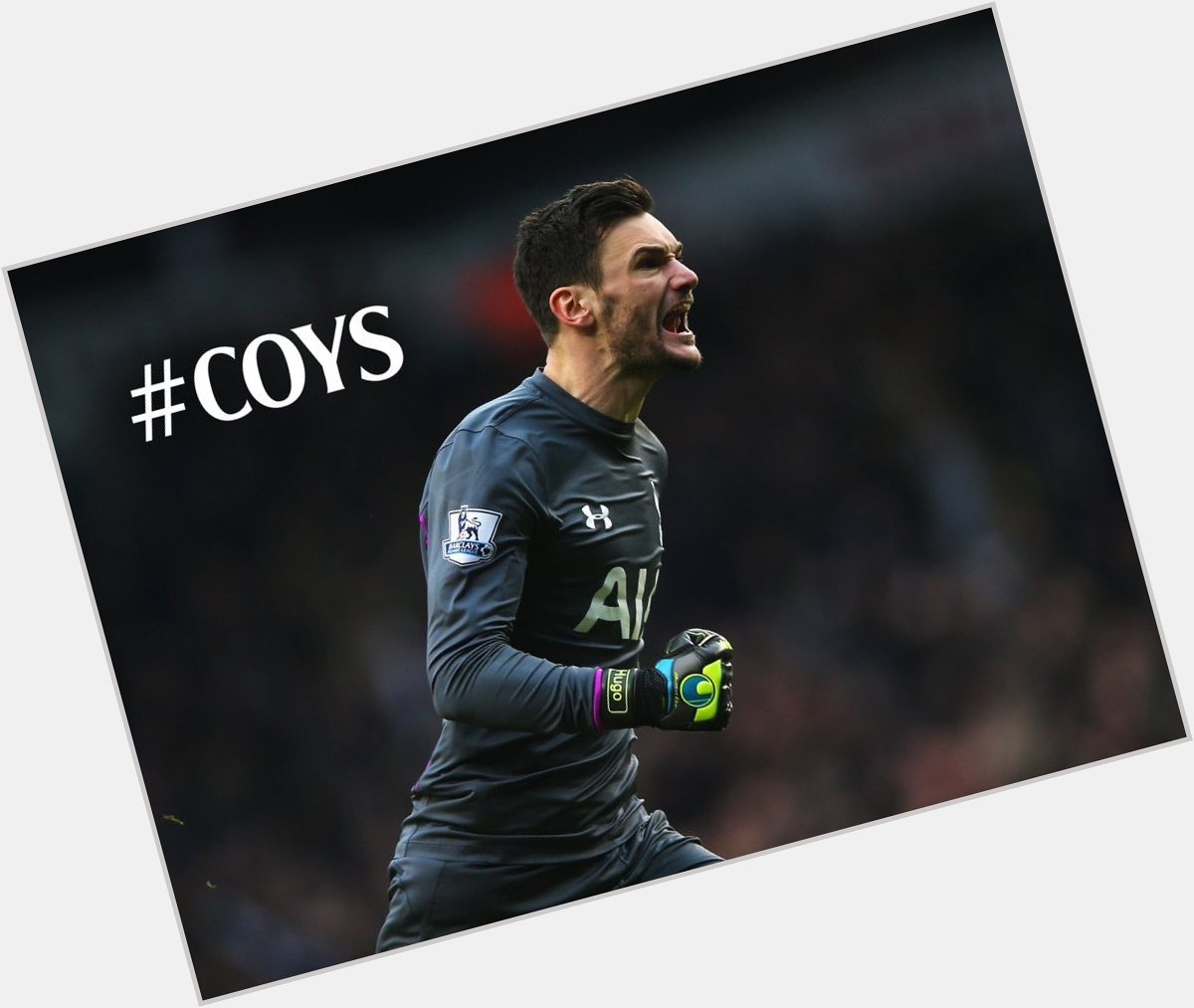 Happy birthday to the true king of the cage. Glad to share a birthday with a legend. Hugo Lloris. 