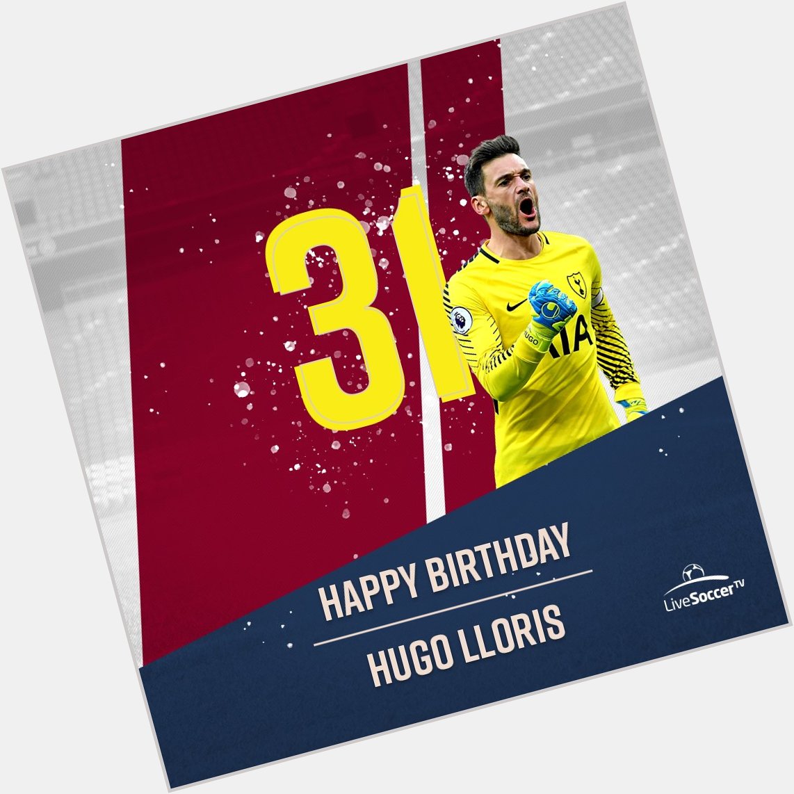 HAPPY BIRTHDAY: Hugo Lloris celebrates turning 31 on   