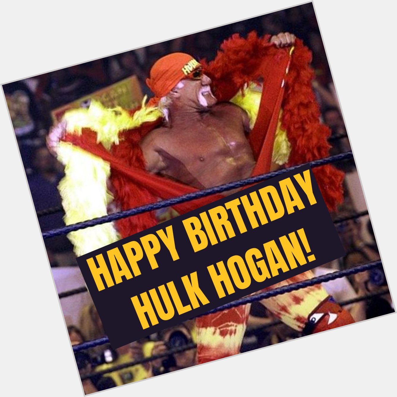 Happy 68th Birthday to Hulk Hogan! 