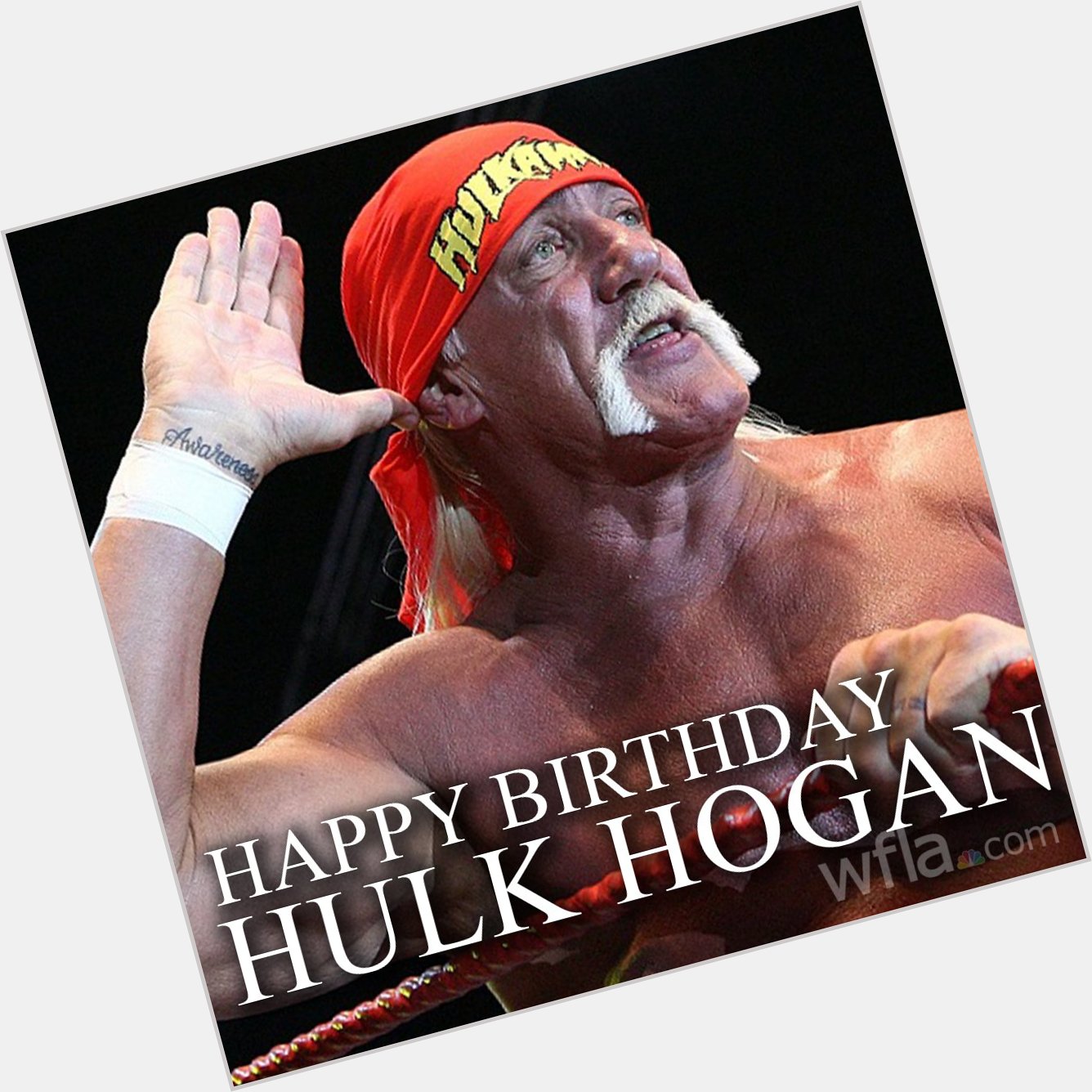 HAPPY BIRTHDAY BROTHER: Happy Birthday to the one and only Hulk Hogan!!!  