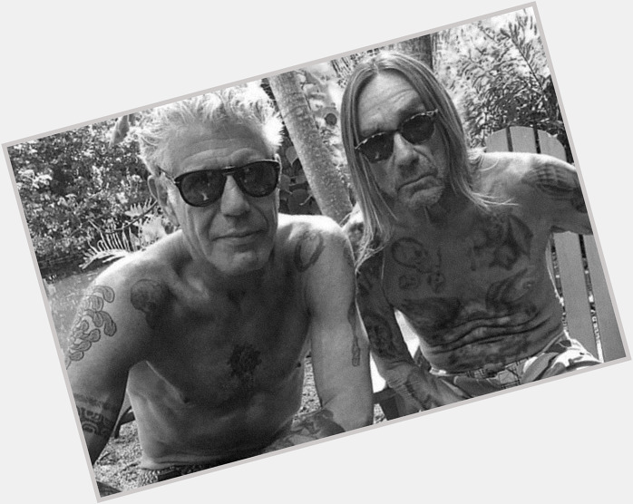 Happy Birthday Iggy Pop  75 today. I couldn\t decide on a pic so both ... 