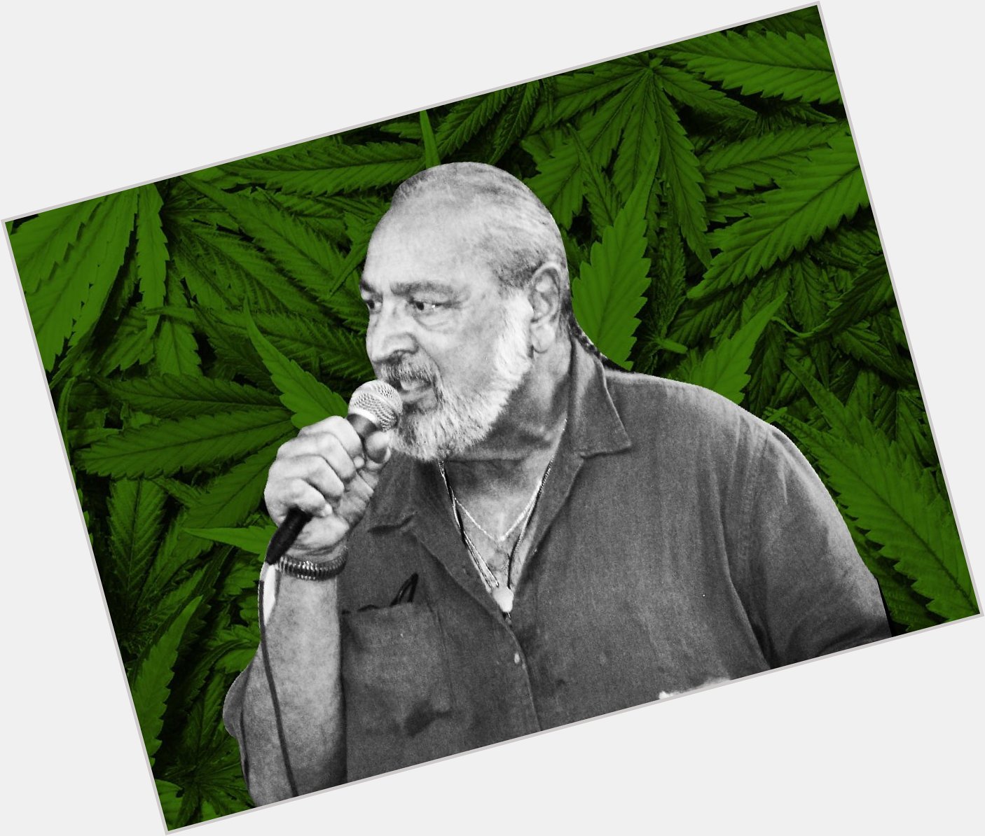 \"I was a normal American nerd.\" But you did so much more for the cannabis community. Happy Birthday,  Jack Herer. 