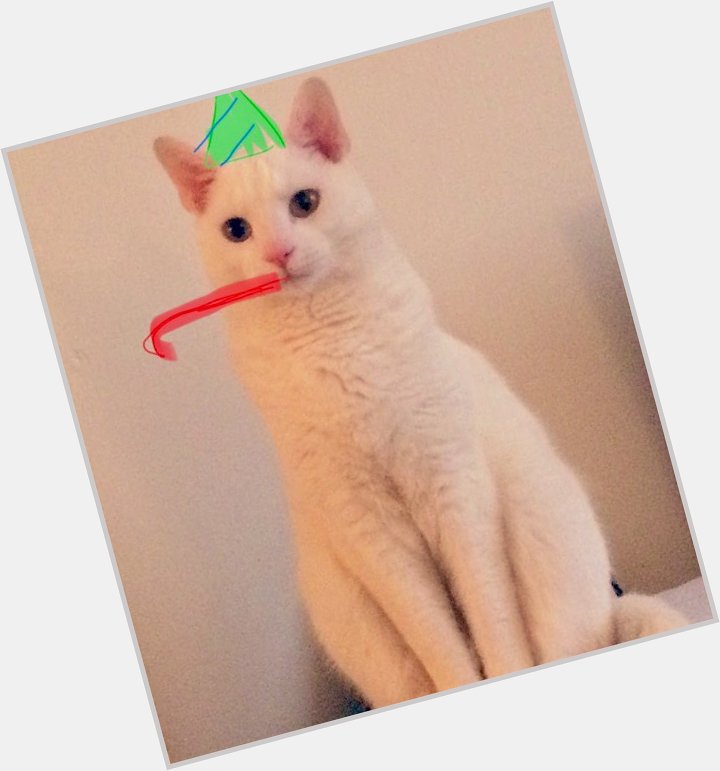 Happy birthday to my cat Jax and to my favorite youtuber Jack(septiceye) :pp 