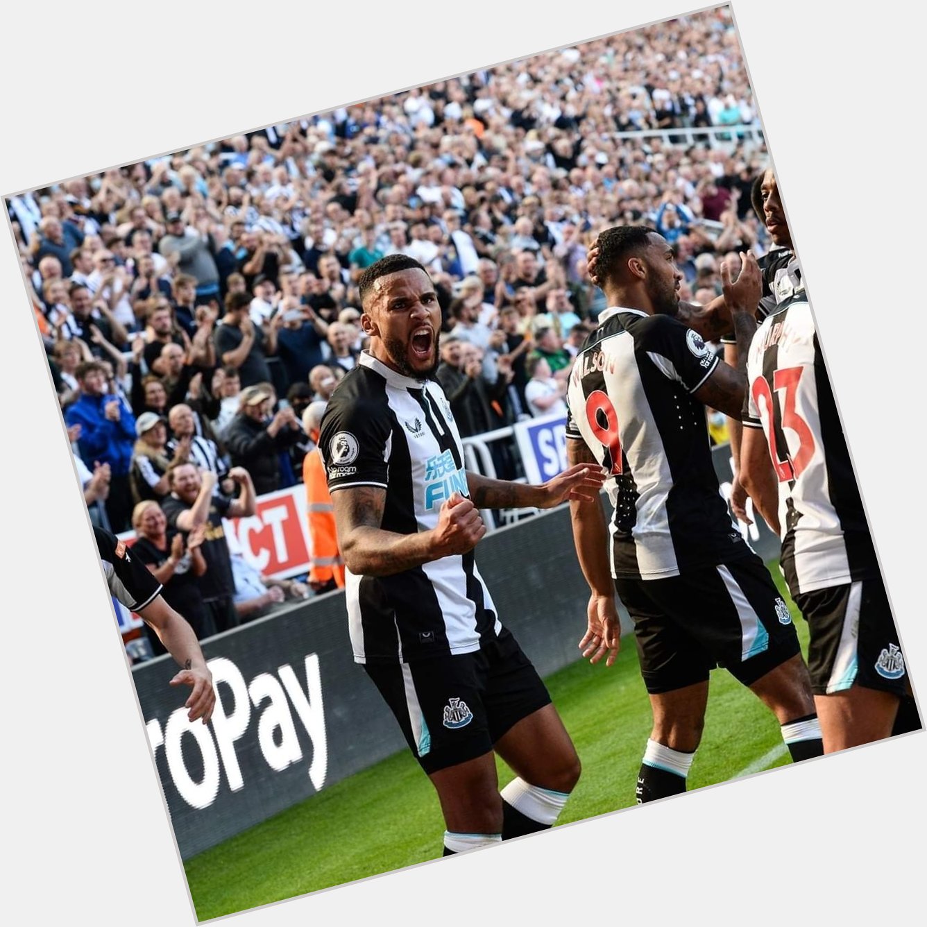 Happy birthday to our captain...Jamaal Lascelles   Have a good one... Captain  