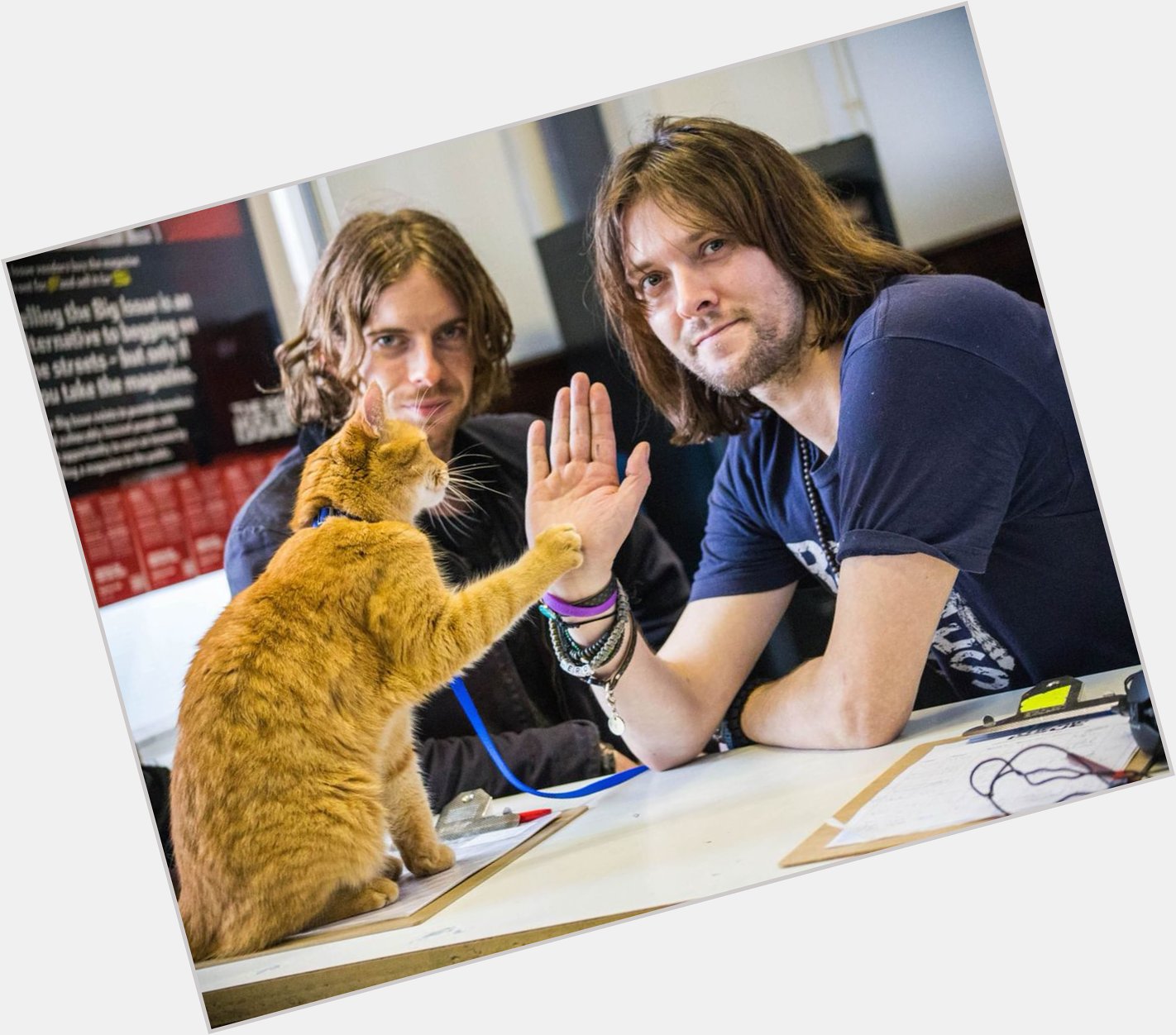 Happy birthday, James Bowen! Hope you and have a purrfect day  