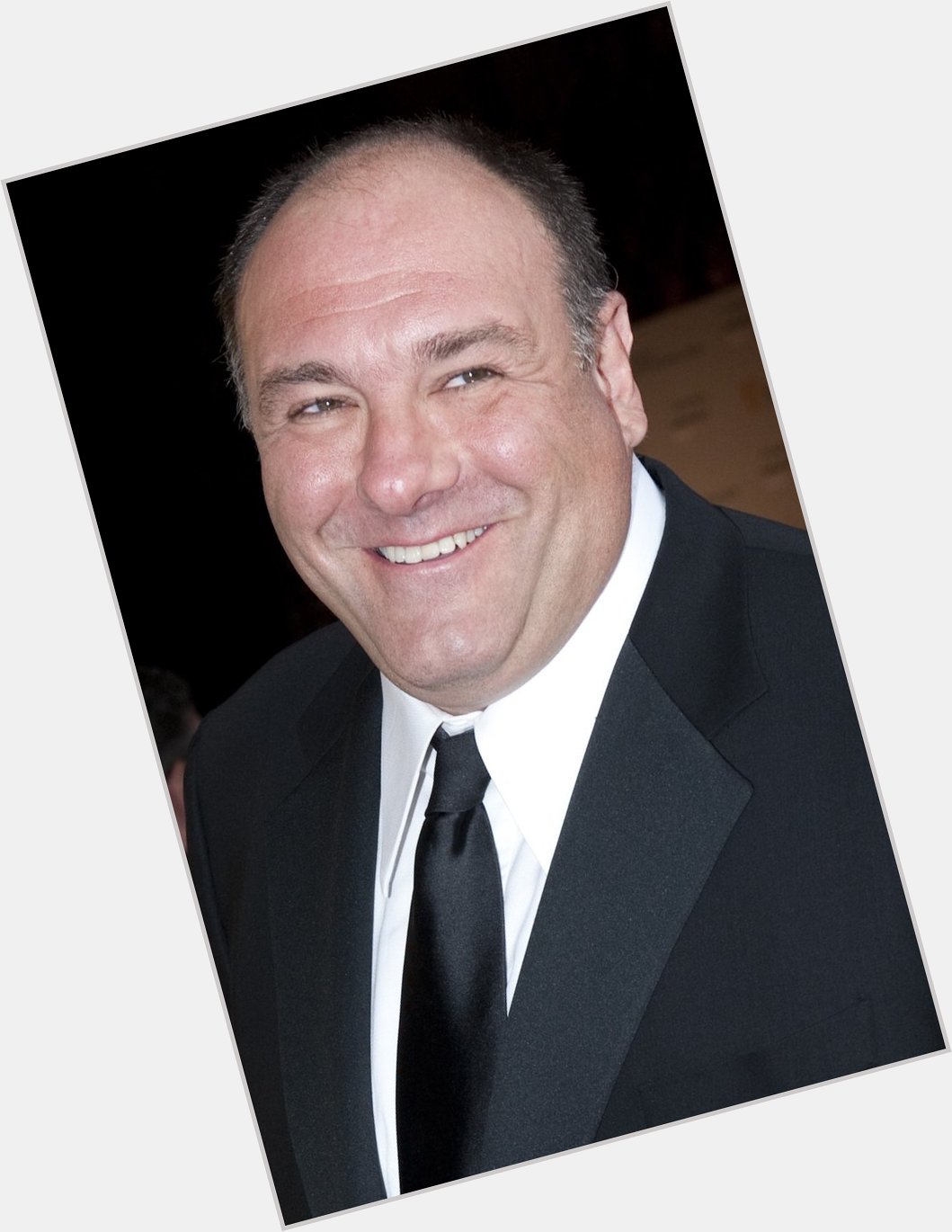 Happy birthday to the incredible James Gandolfini. He would be 59 by now. It s too bad he passed away too soon. 