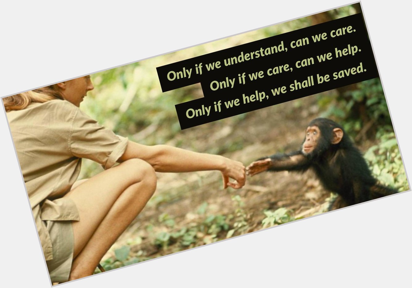 Happy Birthday to Jane Goodall! Check out the Jane Goodall Institute  