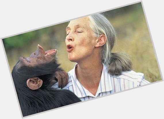 Happy birthday to UN Messenger of Peace Dame Jane Goodall. 