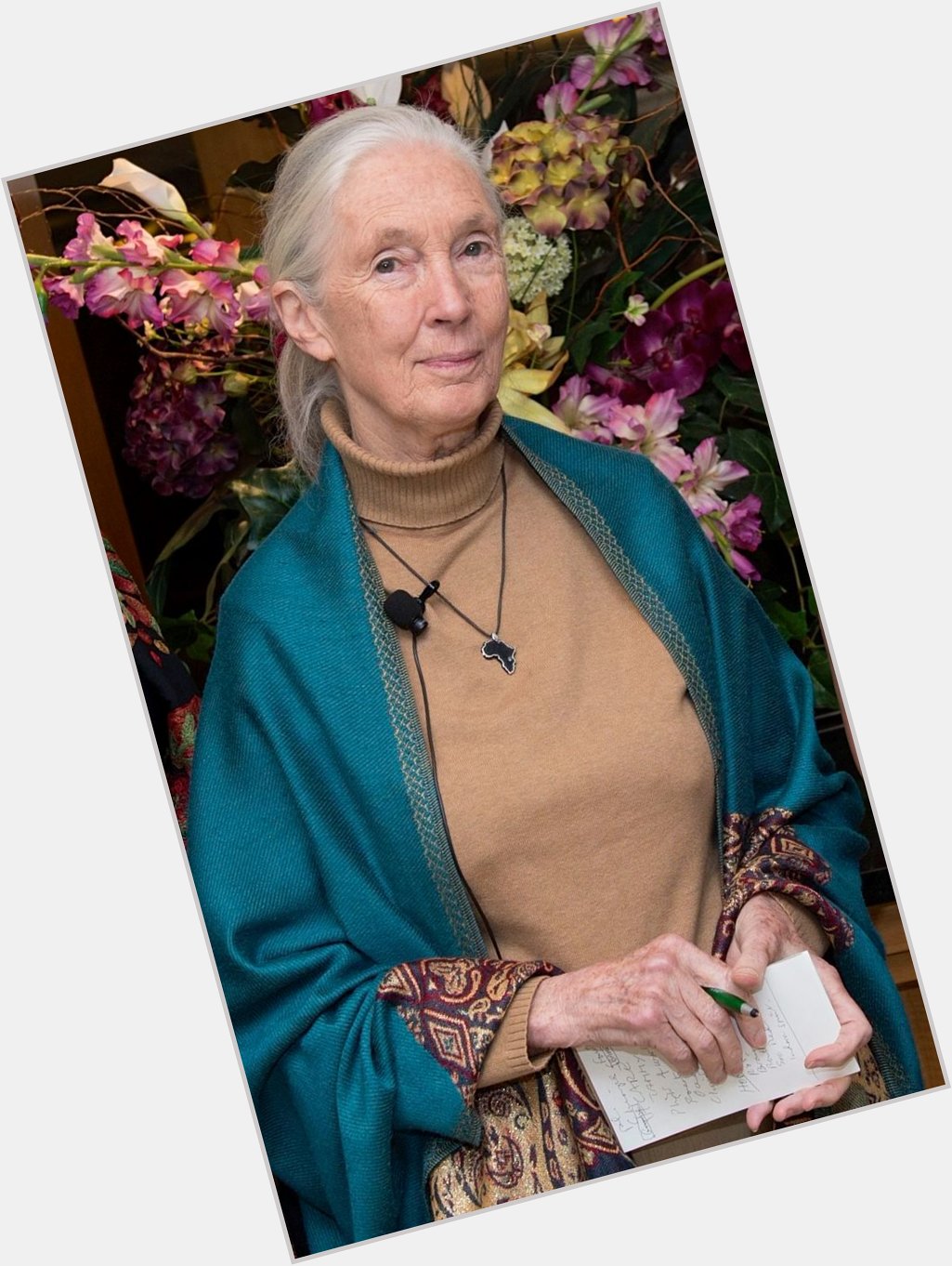 Happy Birthday, Dr. Jane Goodall - I\m so very glad you\re on this planet right now. 