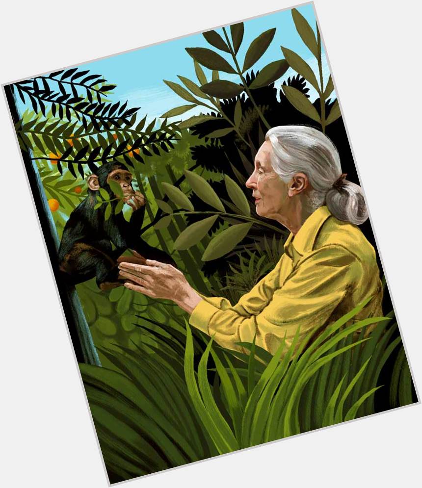También un 3 de abril nació la primatóloga Jane Goodall Happy Birthday 