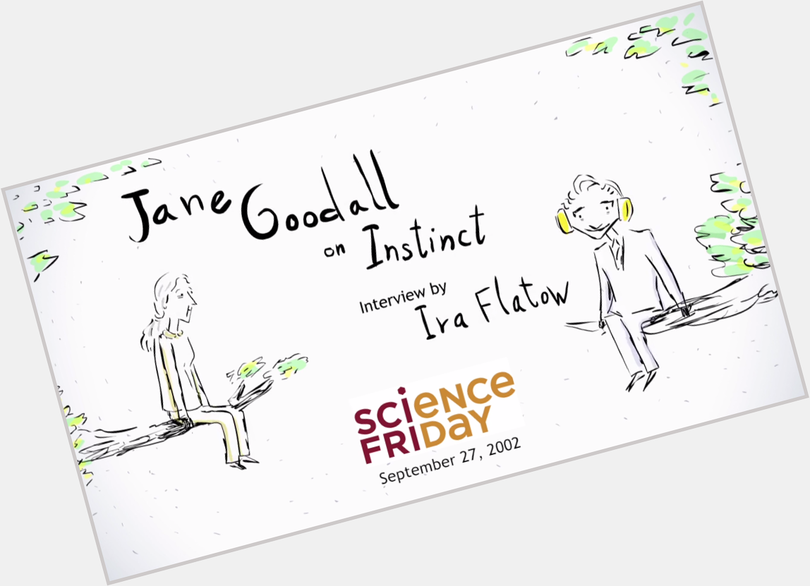 Happy Birthday, Jane Goodall! animated a vintage interview:  