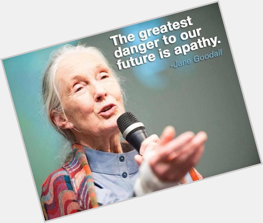 HAPPY BIRTHDAY to Jane Goodall!!!! 