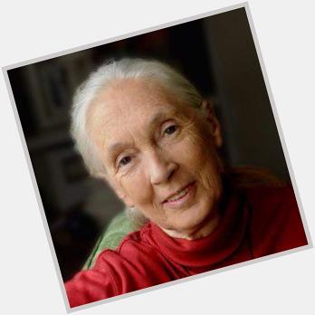 We would like to wish Dr.Jane Goodall a very Happy Birthday! A true inspiration for animals, people, and the world. 