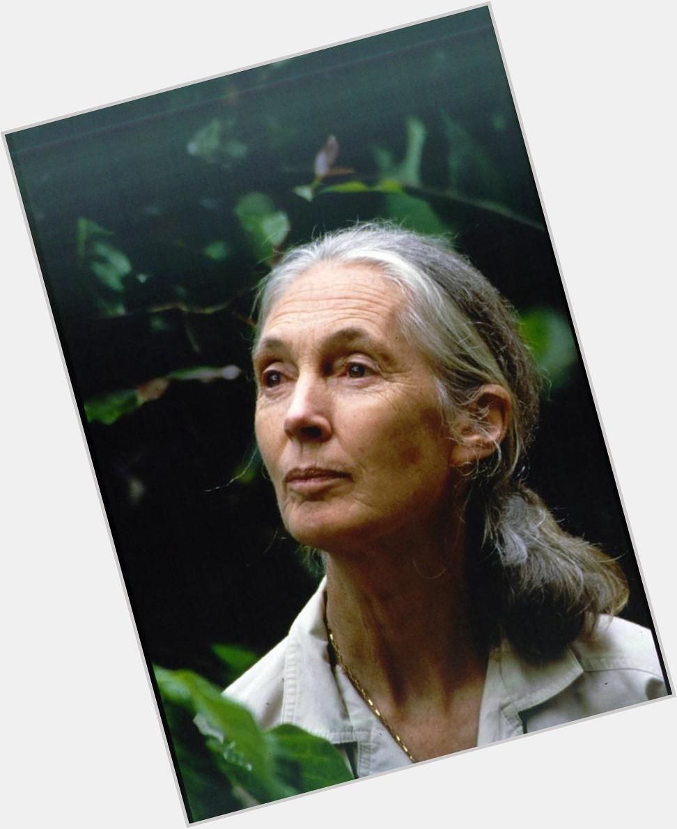 Happy birthday Dr. Jane Goodall!You\re work is amazing and you\ve always been one of my role models. 