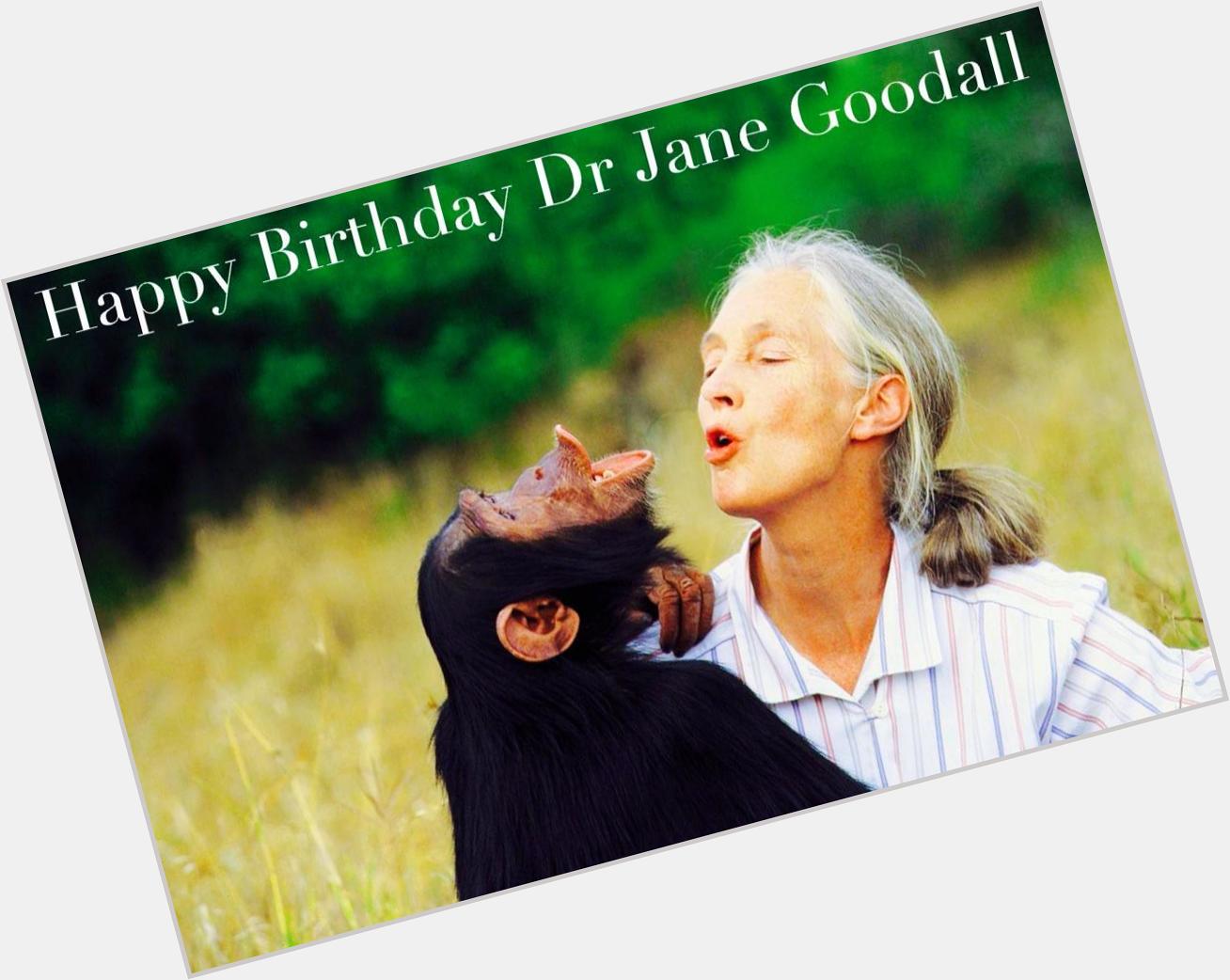 Happy Birthday Jane Goodall!   