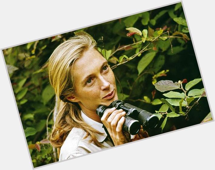 Happy 81st birthday to my most inspirational zoologist, Dr. Jane Goodall. 