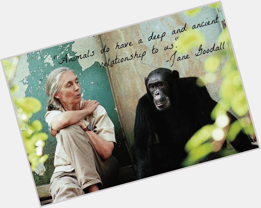 Happy birthday, Jane Goodall. 